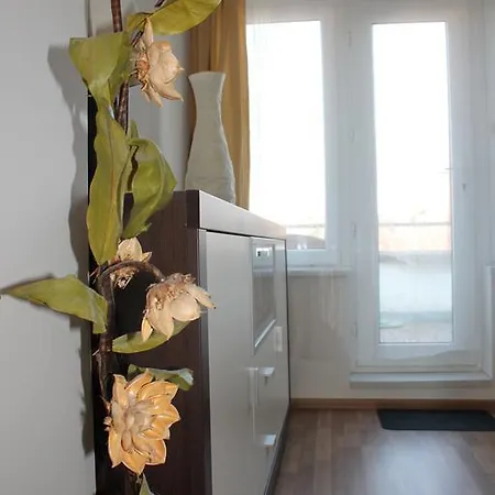 Apartmán Downtown Terrace *