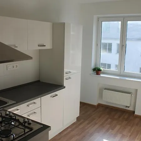 Downtown Terrace Apartment *